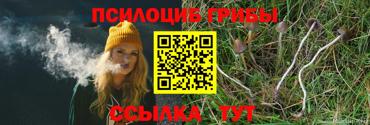Псилоцибиновые грибы GOLDEN TEACHER  Вход с VPN  Солнечногорск 